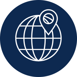 International network icon